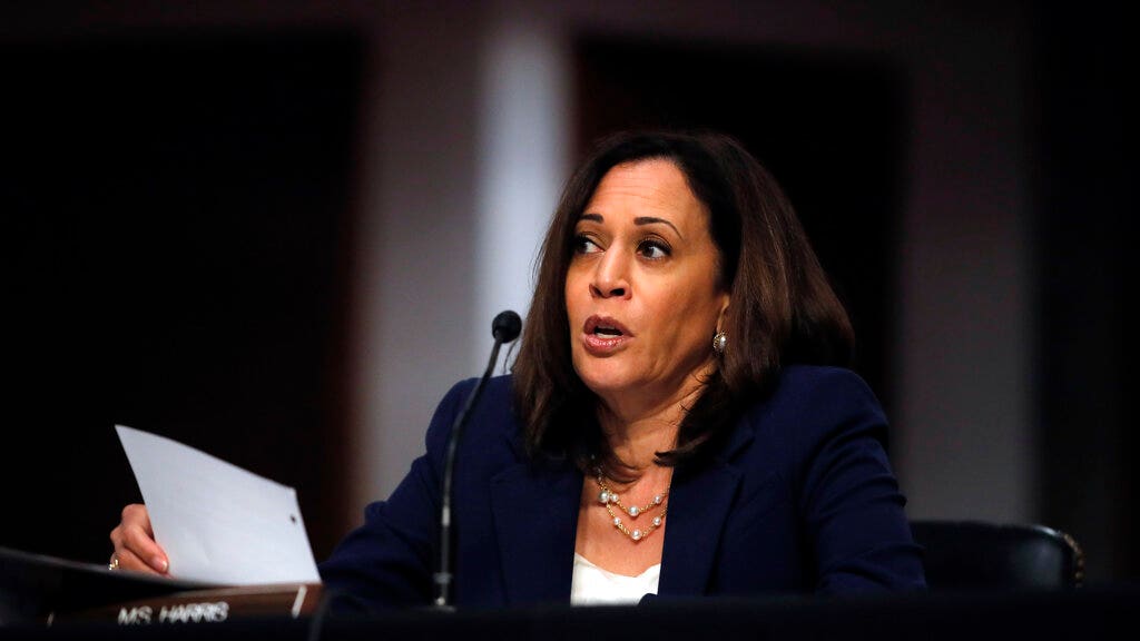 Harris, top Dems identified as 'target projects' for Chinese by Biden's brother