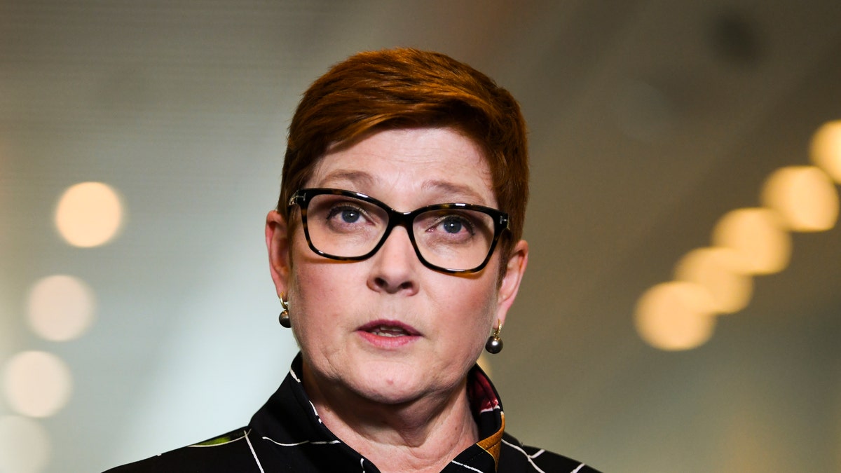 Australian Foreign Minister Marine Payne, pictured, slammed the “offensive” incident as "grossly disturbing" and said it has since been reported to federal police. (Lukas Coch/AAP Image via AP)