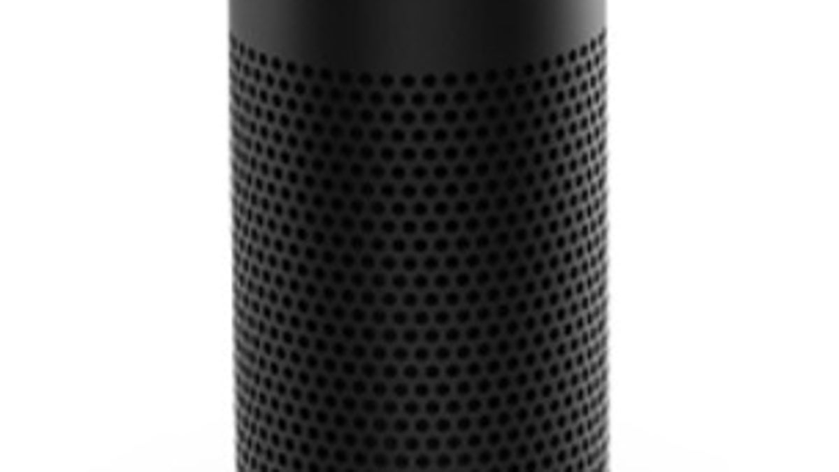 amazon echo internet