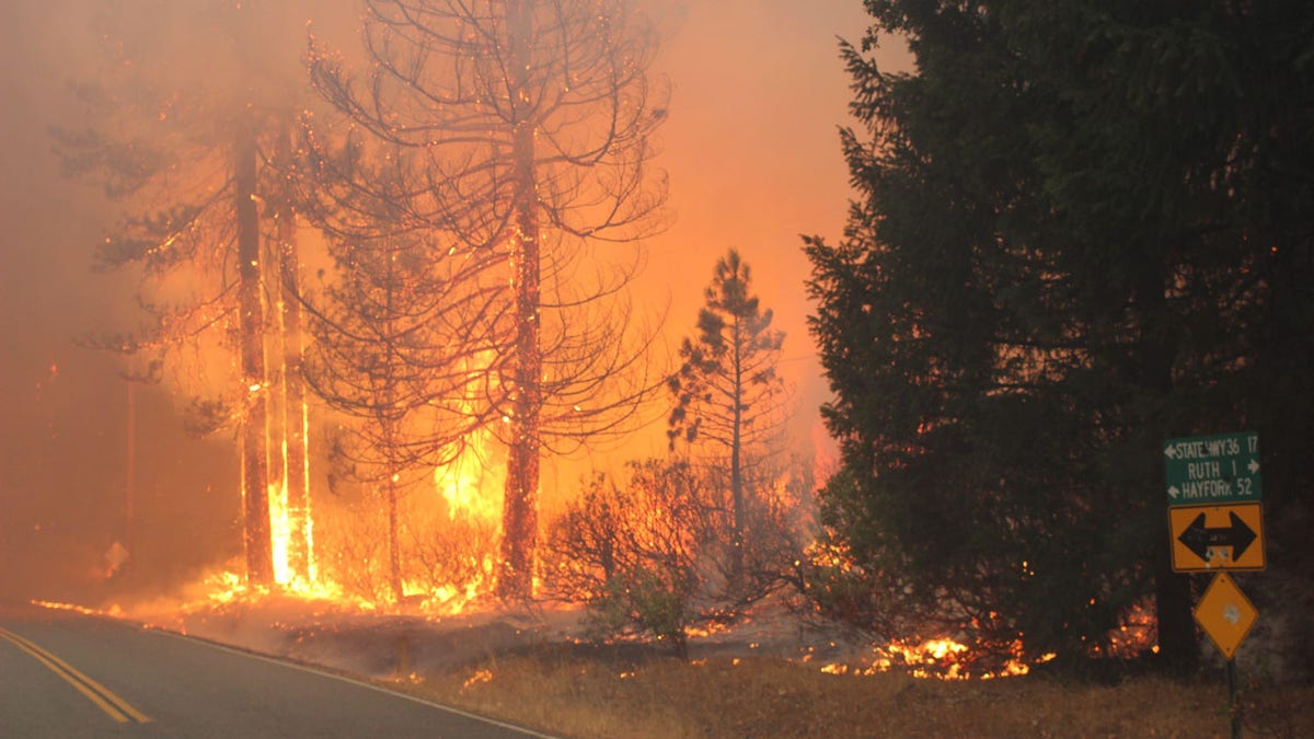 The August Complex burns near Ruth, Calif. last month. The blaze is the largest in modern state history and the first in California to grow to more than 1 million acres.