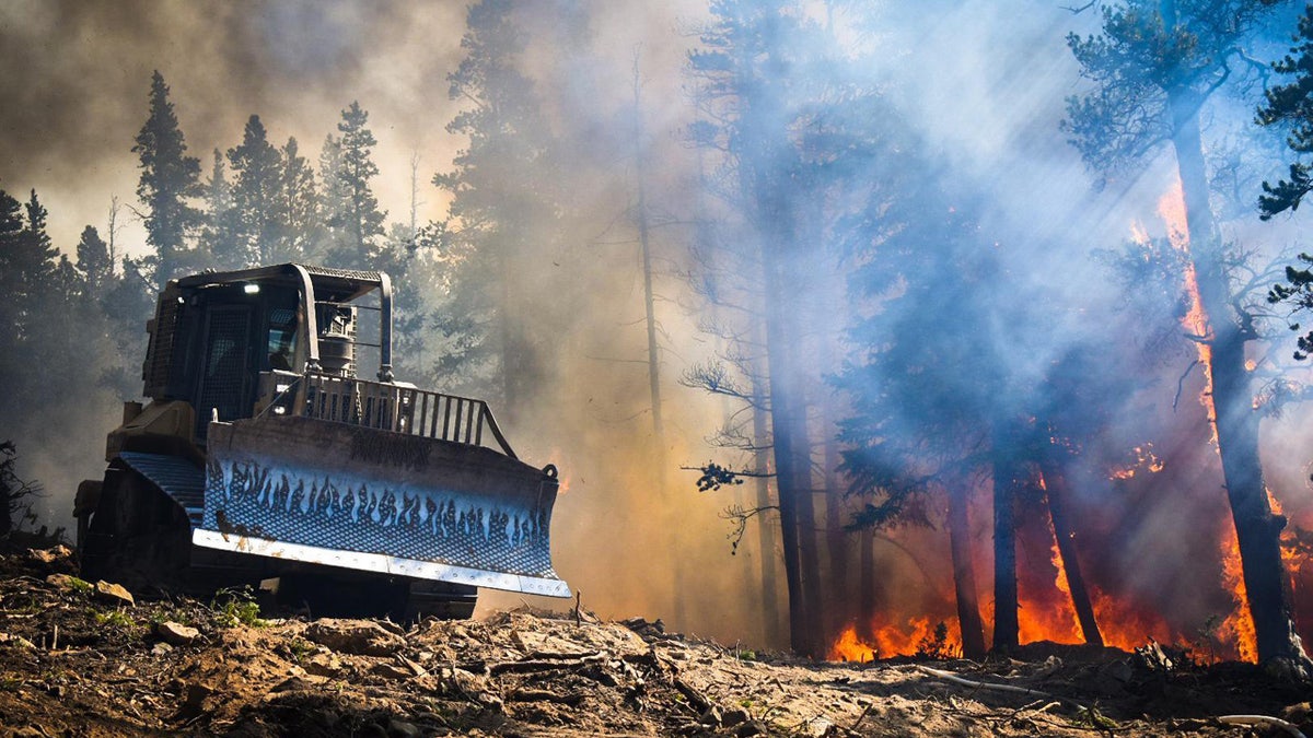 The Cameron Peak fire has burned over 206,009 acres and is the largest in Colorado state history.