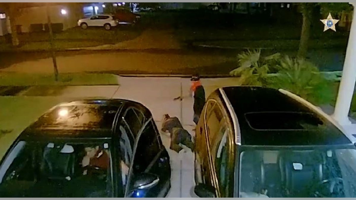 Two armed carjacking suspects confronted a Florida resident after he pulled into his driveway Monday night, authorities said.