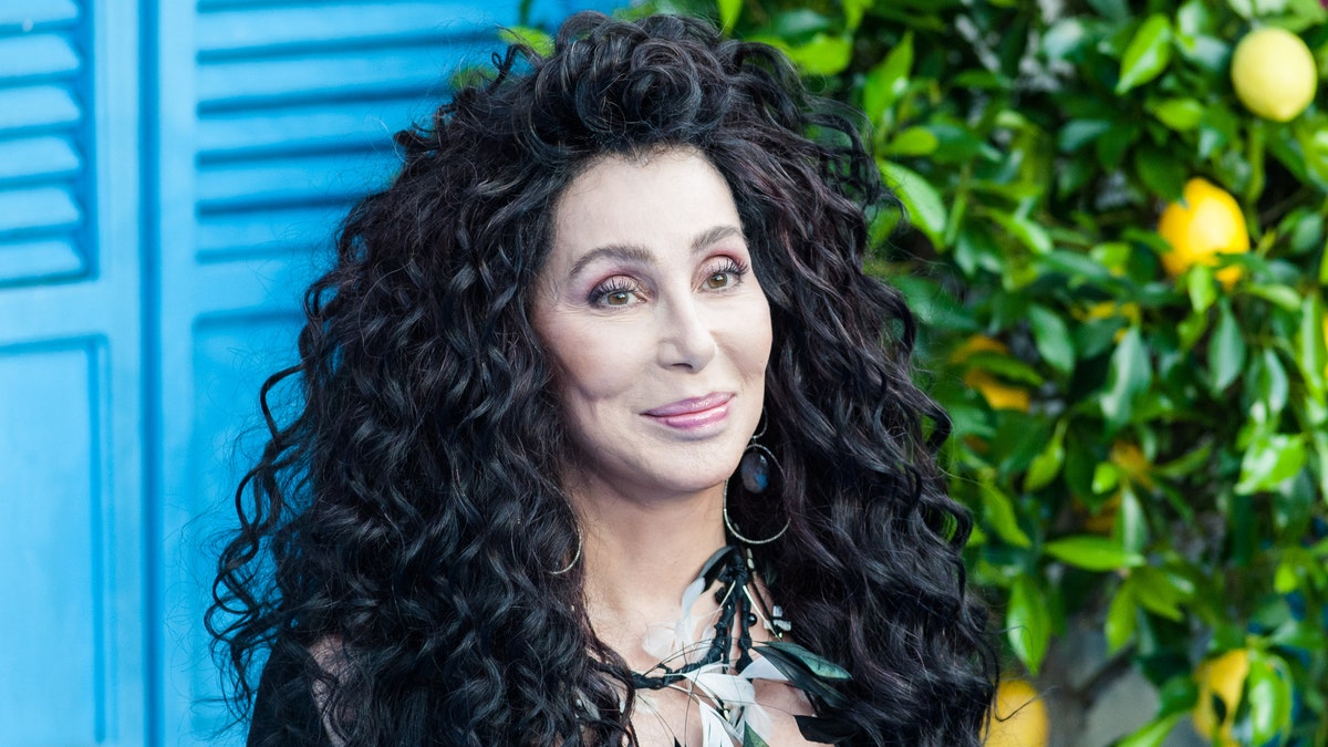 Cher publicly backed Biden in February. (Photo credit should read Wiktor Szymanowicz / Barcroft Media via Getty Images)