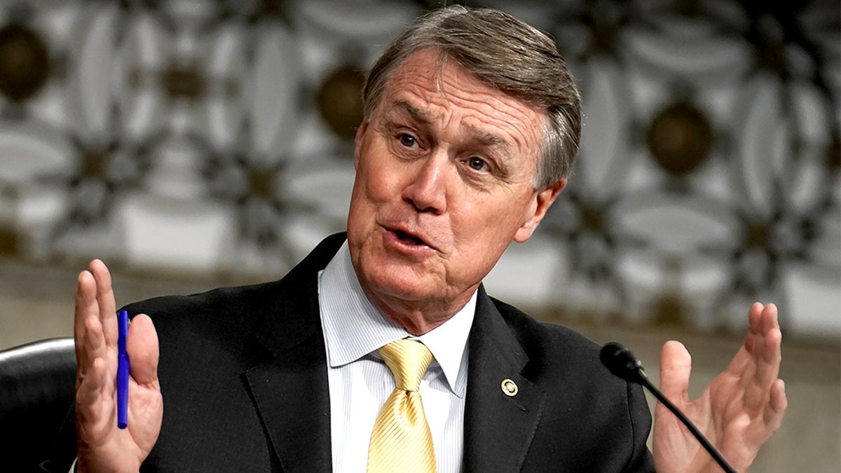 Senator David Perdue, R-Ga., asks questions during the Senate Armed Services Committee hearing on Capitol Hill in Washington, D.C., May 6, 2020. (Greg Nash/Pool via REUTERS)