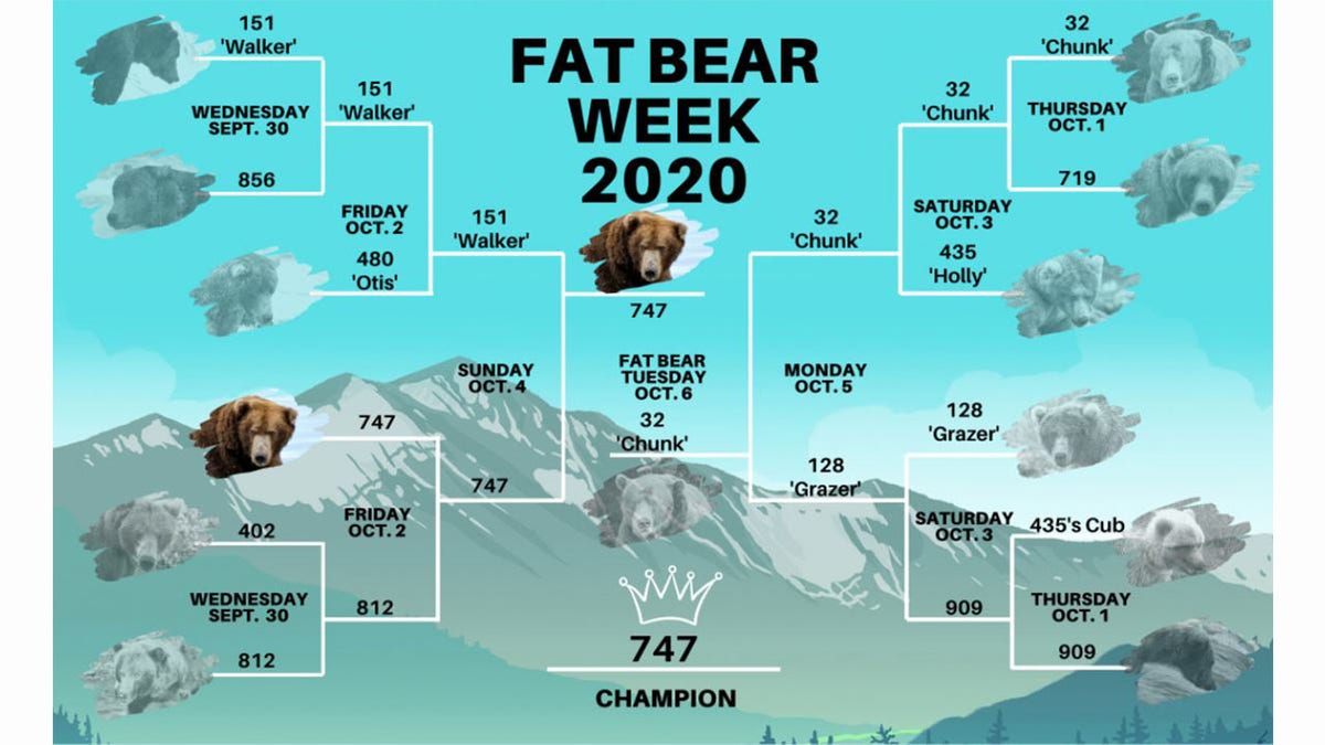 The final bracket of the 2020 "Fat Bear Week" competition, hosted by Katmai National Park and Preserve in King Salmon, Alaska.