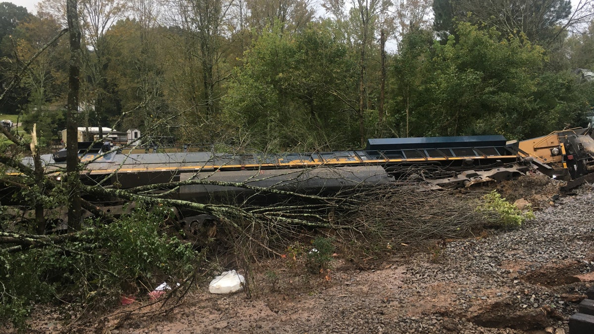 A freight train derailed early Sunday in Lilburn, Ga., sparking a small fire and triggering evacuations in one neighborhood.