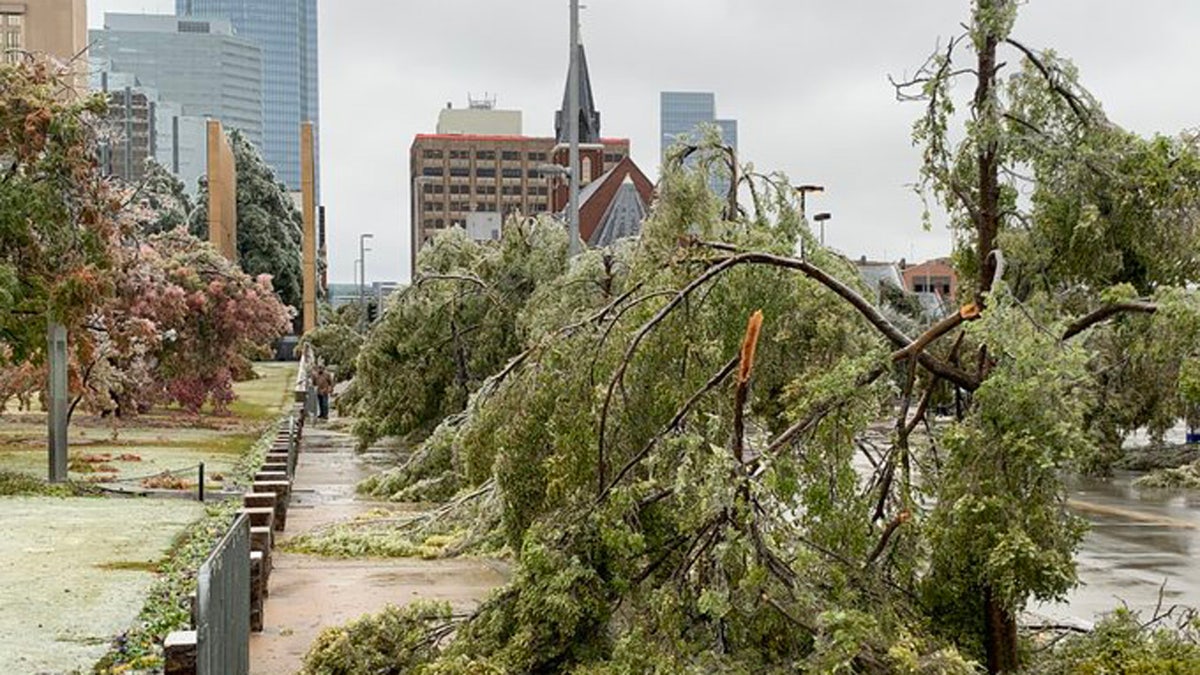 Trees at the Oklahoma City National Memorial &amp; Museum were damaged from the ice storm that caused widespread problems across Oklahoma on Tuesday, Oct. 27, 2020.