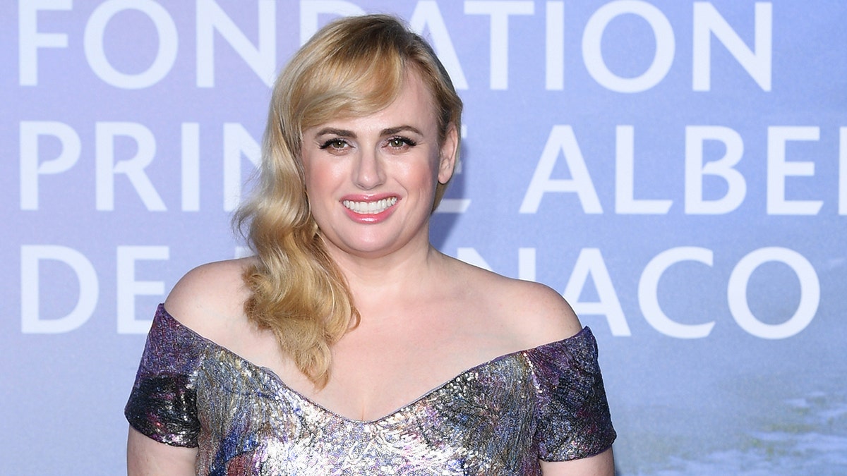 Rebel Wilson helped rescue her friend's passport after it fell in the ocean.