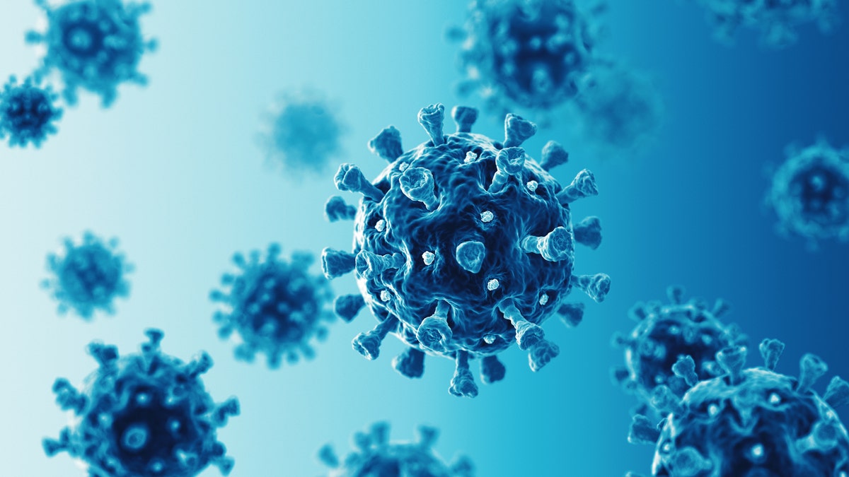 Dr. William Schaffner, a professor of infectious disease at the Vanderbilt University Medical Center, said there are some viruses where cases of reinfection are so rare that they often appears in medical journals.
