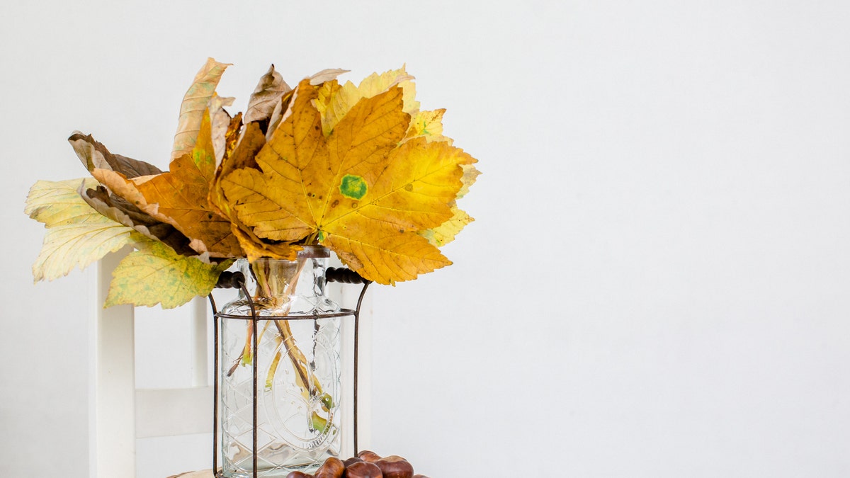 A California grocer is selling bouquets of fall leaves for $15 a pop to San Franciscans famished for foliage this year.