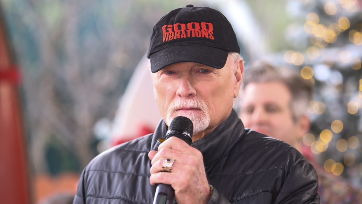 Mike Love performed at one of Trump's inaugural balls in 2017.