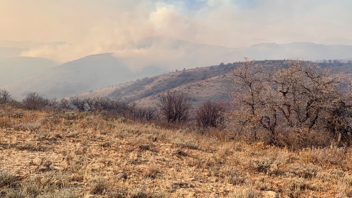 Fire Canyon Fire photo fr. Utah DWR Twitter