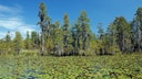 Florida border mining project set to get underway after Trump administration regulation rollback