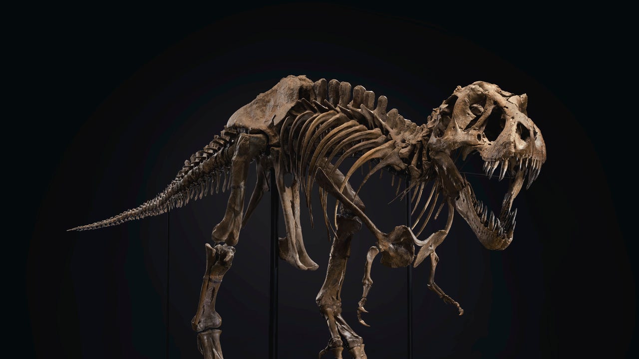 christies-dinosaur.jpg?ve=1&tl=1