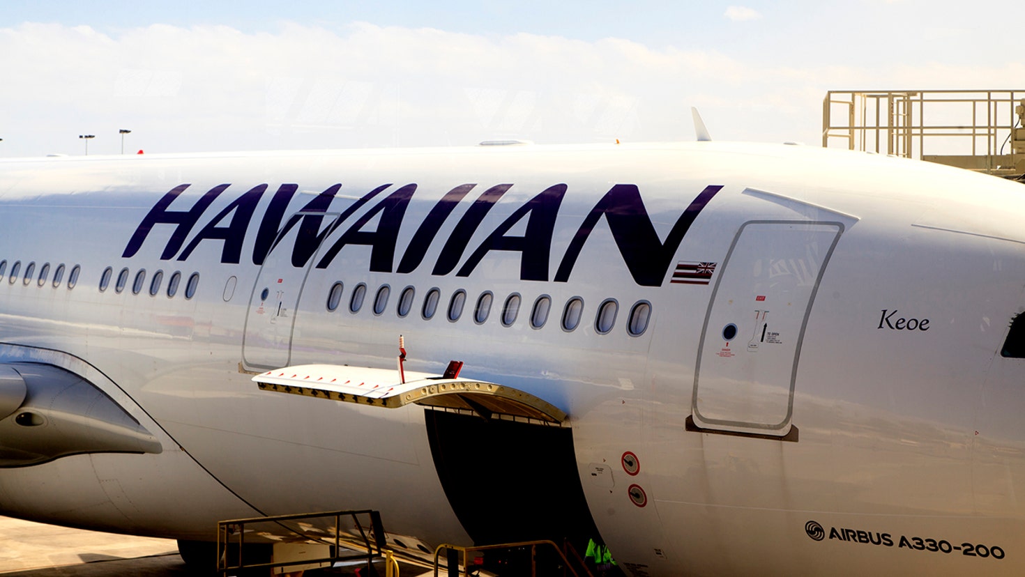 hawaiian airline pet weight limit