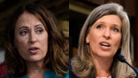 Virtual Iowa senatorial debate plagued by technical glitches