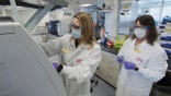 An Eli Lilly lab