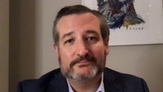 Cruz warns 'radical' Democrats won't push back against Biden packing Supreme Court