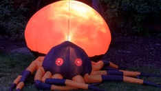 New York home's giant Halloween spider décor goes viral: 'That’s how you keep kids away'