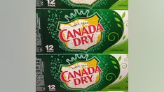 Canada Dry settles ginger ale lawsuit over 'real ginger' claims, agrees to pay over $200G