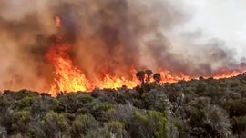 Kilimanjaro blaze may have started from fire to warm up food for tourists