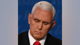 SEE IT: Fly lands on Pence&rsquo;s head during debate and goes viral
