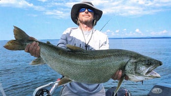 Lake trout caught on Lake Champlain is officially the biggest on record, suggests good news for the area