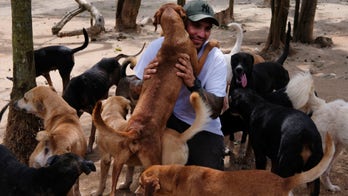 Man protects 300 dogs from Hurricane Delta by bringing them to safety inside his home