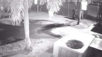 Florida deputies say arsonist wearing trash bags torched a dozen garbage trucks