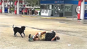 Brawl between two Florida men over political sign waving caught on camera