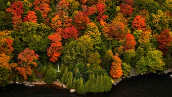 Fall foliage in New England impacted by 'extreme drought,' recent storms