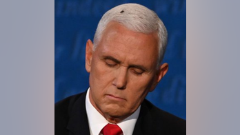 Fly lands on Pence's head during VP debate, goes viral