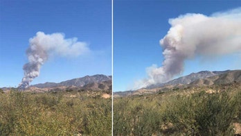Officials say wildfire in Arizona national forest is '0% contained'