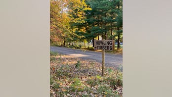 Toddler loses arm at hybrid wolf enclosure in grandmother’s Michigan animal sanctuary