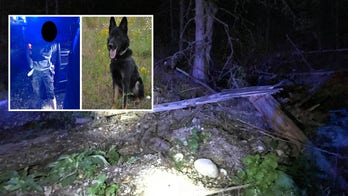 Police K-9 tracks down suspected car thief hiding in Washington state woods