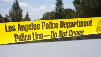 LAPD chief says Los Angeles on track to surpass 300 homicides, highest in over a decade