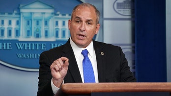 Mark Morgan blasts Biden's new guidelines on ICE arrests: 'Defies law and order, common sense'