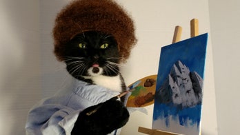 'Cosplay cats' dazzle for Halloween in elaborate costumes: 'A heck of a lot of fun'