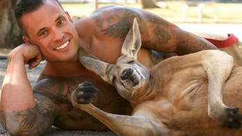 2021 Australian Firefighter Calendars, featuring shirtless men, will benefit displaced wildlife