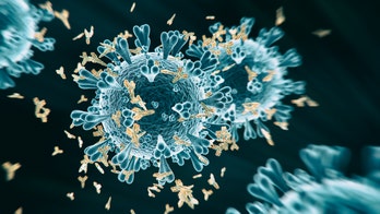 Coronavirus antibodies estimated in less than 5% of French population: study