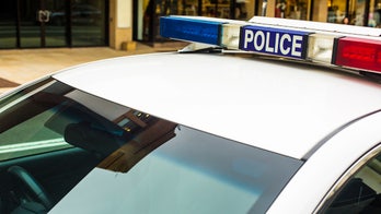 Nude sunbathers, startled by deer, get lost, fined $1,000 for breaking COVID-19 lockdown orders