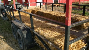 New Jersey family-friendly hayride event dissolves into chaos after hundreds of teens wreak havoc: police