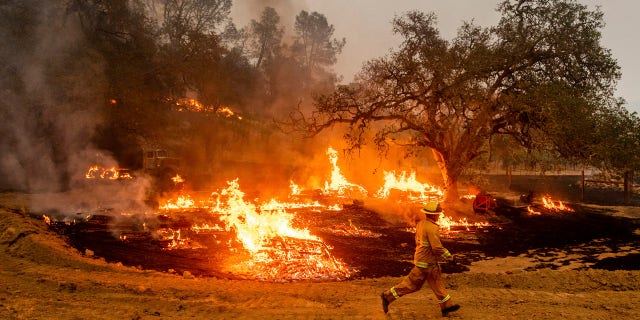 A firefighter runs past flames while battling the Glass Fire in a Calistoga, Calif., vineyard Thursday, Oct. 1, 2020.