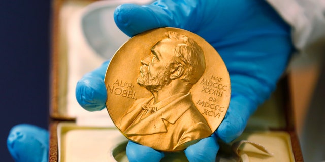 FILE - In this April 17, 2015, file photo, a national library employee shows a gold Nobel Prize medal in Bogota, Colombia. The Nobels, with new winners announced starting Monday, Oct. 5, 2020, often concentrate on unheralded, methodical, basic science. (AP Photo/Fernando Vergara, File)