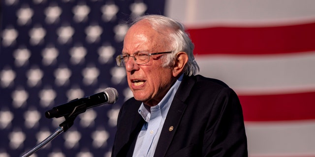 Sen. Bernie Sanders speaks to the crowd at a car rally campaign event for Democratic presidential candidate former Vice President Joe Biden on Monday, Oct. 5, 2020, in Warren, Mich. Sanders put his fundraising list to work for Georgia Democratic Senate hopeful Raphael Warnock on Thursday. (Nicole Hester/Ann Arbor News via AP)