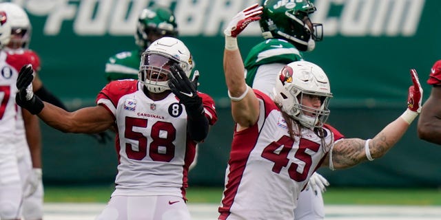 Arizona Cardinals linebacker Dennis Gardeck (45) celebrates with middle linebacker Jordan Hicks (58) after sacking New York Jets quarterback Joe Flacco during the second half of an NFL football game, Sunday, Oct. 11, 2020, in East Rutherford. (AP Photo/Seth Wenig)