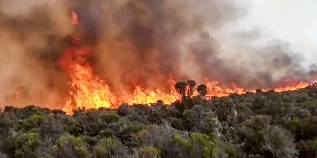 In this image made from video, fires burn on Mount Kilimanjaro in Tanzania on Monday, Oct. 12, 2020. Tanzanian authorities say 500 volunteers have been trying to put out a fire on Africa's tallest peak, Mt. Kilimanjaro. (AP Photo)