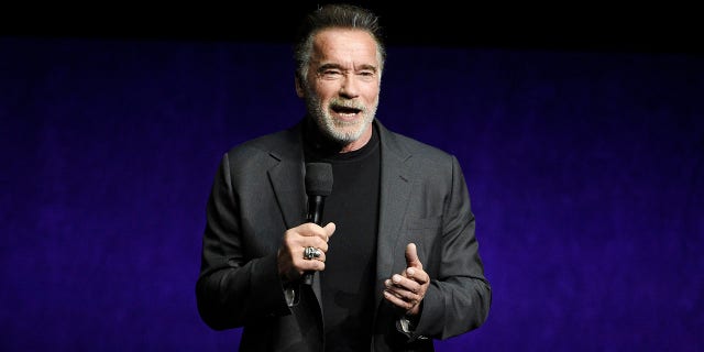 Arnold Schwarzenegger released a lengthy statement about the riots at the U.S. Capitol