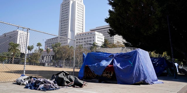 Tent occupied by a homeless person stands just outside Grand Park, with Los Angeles City Hall in the background. As homicides approach 300 for the year, many victims are connected to gangs and experiencing homelessness, according to police figures.<br> (AP Photo/Chris Pizzello)