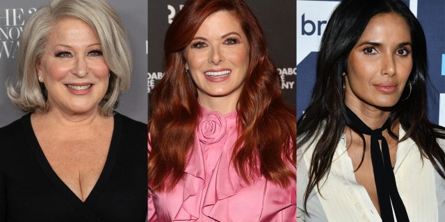 Bette Midler, Debra Messing and Padma Lakshmi all commented on the 2020 presidential race.